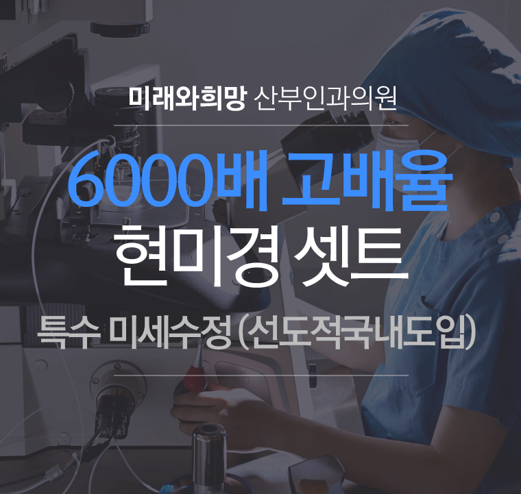 6000배 현미경