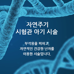 자연주기 시험관 아기시술